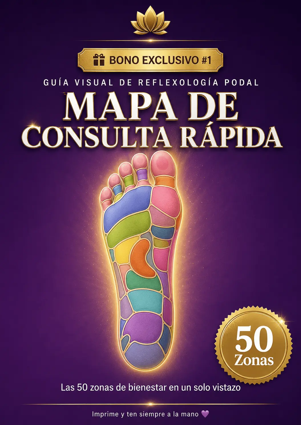 Bono 1 — Mapa de Consulta Rápida